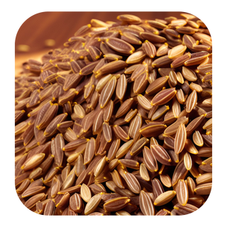 Cumin Seed