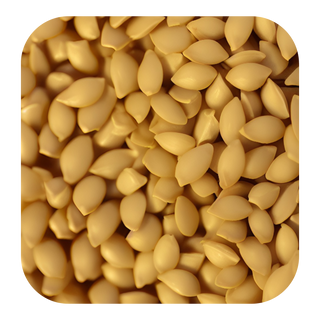 Fenugreek