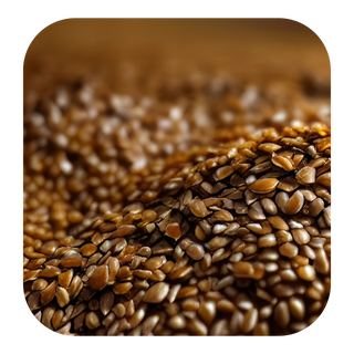 Flax Seed